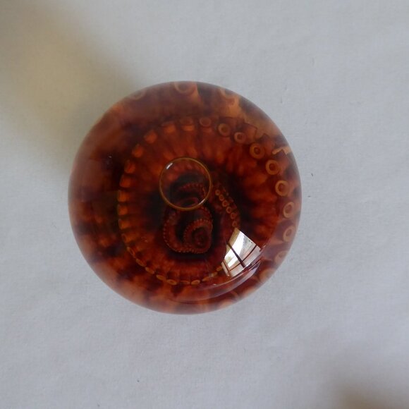 RED TIGER OCTOPUS TENTACLE GLASS GLOBE WET SPECIMEN PROFESSIONAL TAXIDERMY - Picture 7 of 11